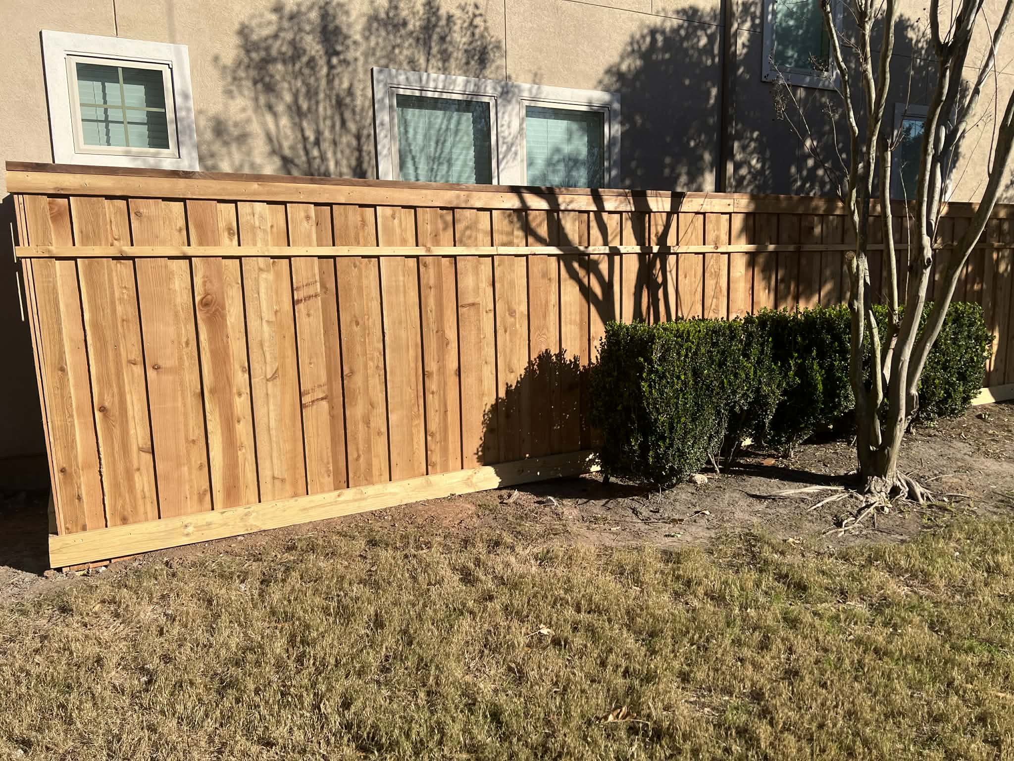Cedar Fence with Cap Rail