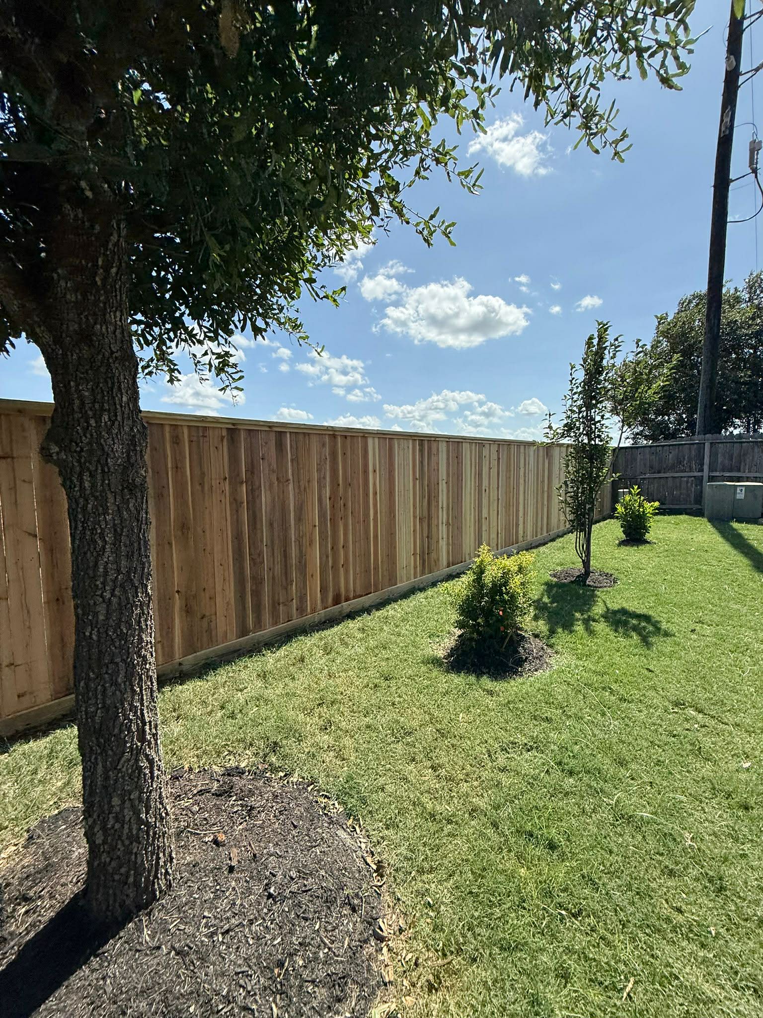 Backyard Wood Fence