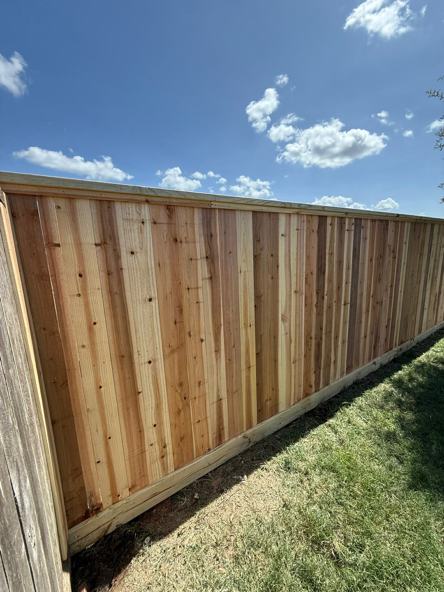 Cedar Privacy Fence – Close Up